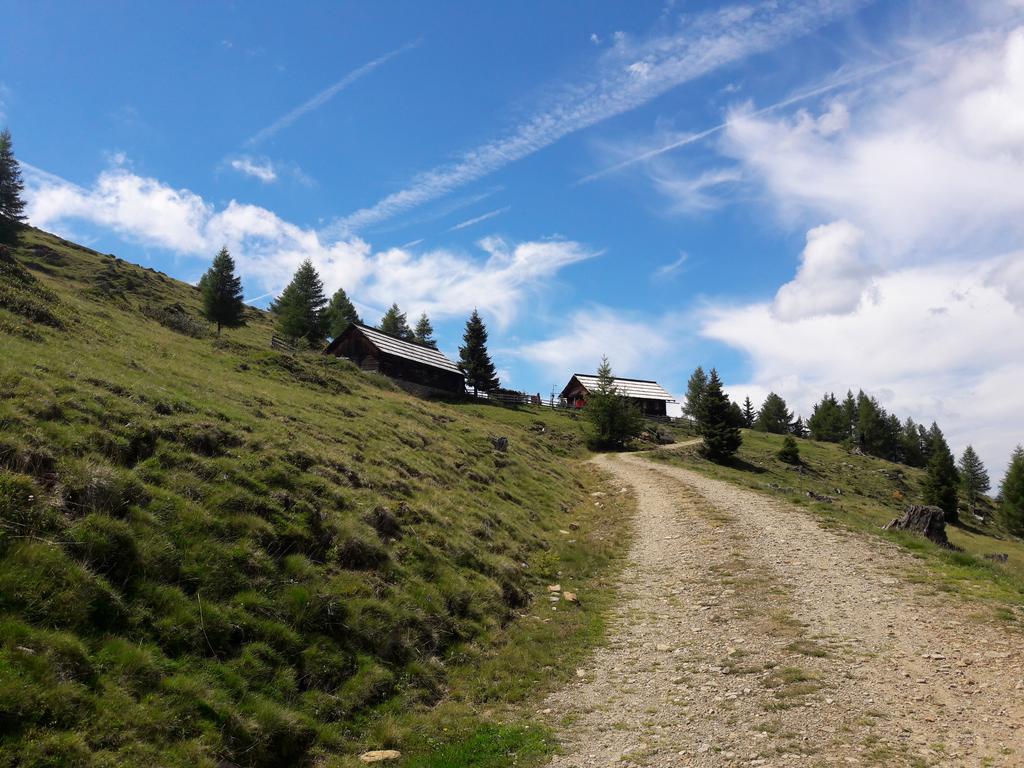 Ferienwohnung Gerti Kalt Lieserhofen Bilik gambar